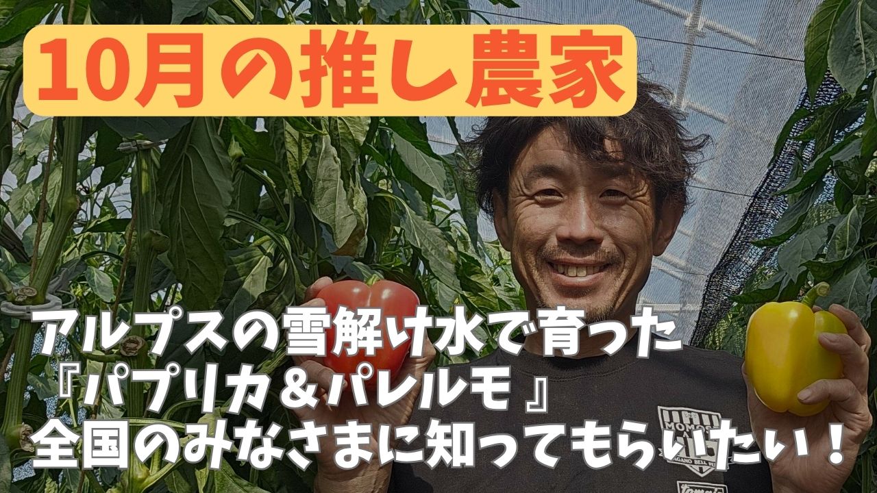 【10月の推し農家】百瀬農園さん：アルプスの雪解け水で育てたパプリカ＆パレルモ