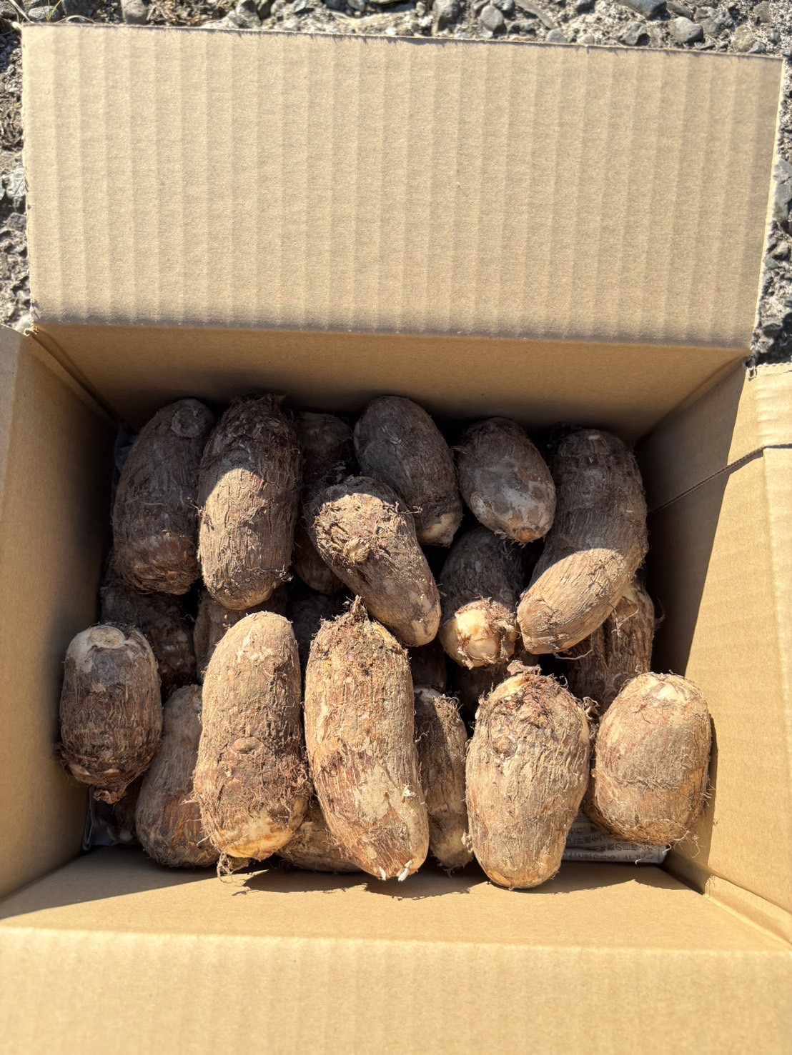 サトイモ（2kg）